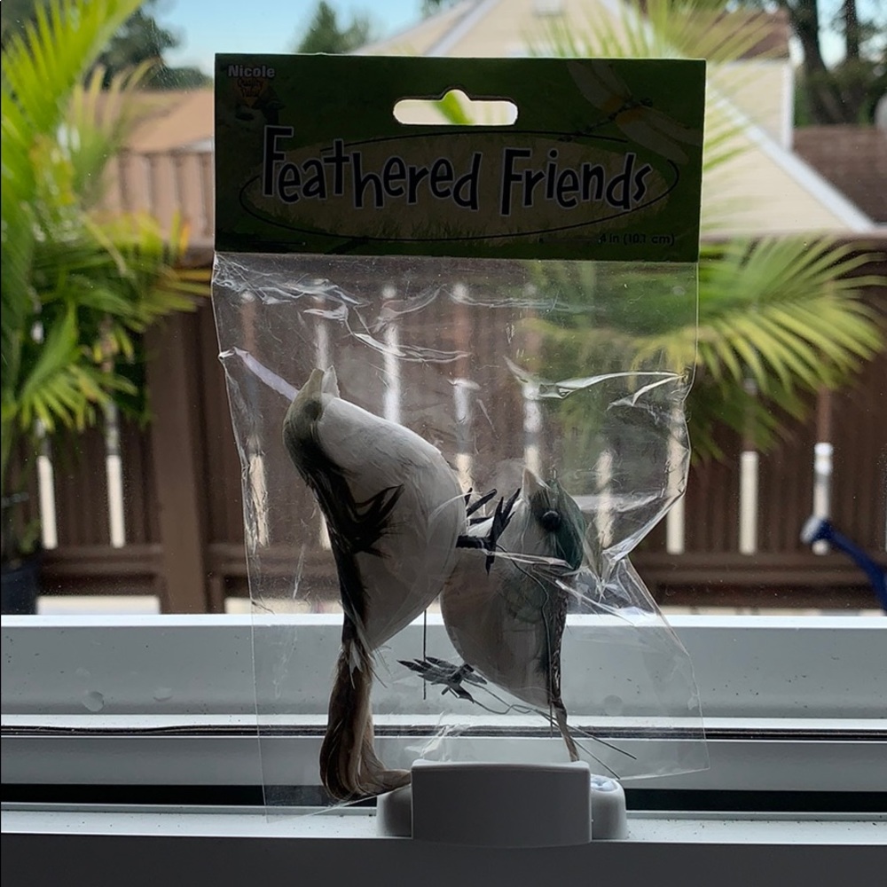 Feathered friends